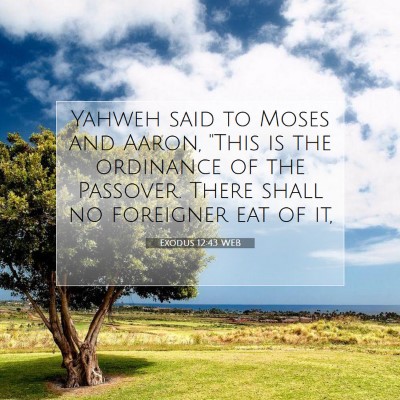 Picture 07 - Exodus 12:43 WEB - Yahweh said to Moses and Aaron, 
