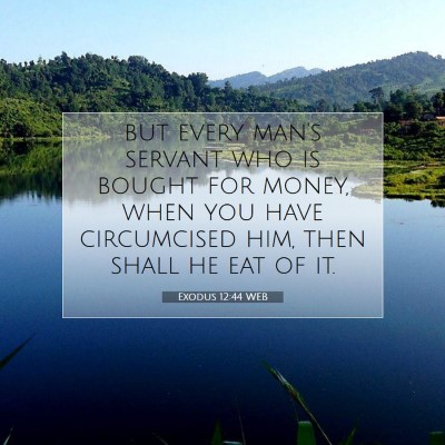 Picture 07 - Exodus 12:44 WEB - but every man's servant who is bought for money, - Bible Verse Picture