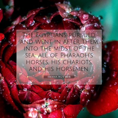 Picture 07 - Exodus 14:23 WEB - The Egyptians pursued, and went in after them - Bible Verse Picture