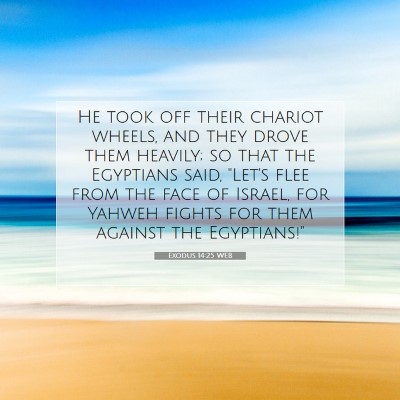 Picture 07 - Exodus 14:25 WEB - He took off their chariot wheels, and they drove - Bible Verse Picture