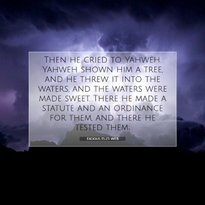 Picture 07 - Exodus 15:25 WEB - Then he cried to Yahweh. Yahweh shown him a tree, - Bible Verse Picture