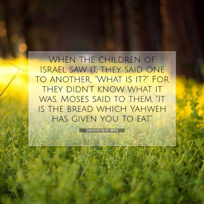 Picture 07 - Exodus 16:15 WEB - When the children of Israel saw it, they said one - Bible Verse Picture