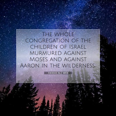 Picture 07 - Exodus 16:2 WEB - The whole congregation of the children of Israel - Bible Verse Picture