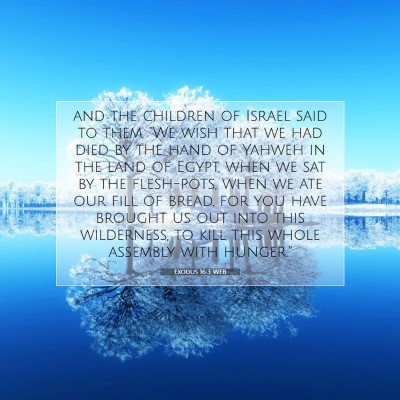 Picture 07 - Exodus 16:3 WEB - and the children of Israel said to them, 