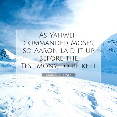 Picture 07 - Exodus 16:34 WEB - As Yahweh commanded Moses, so Aaron laid it up - Bible Verse Picture