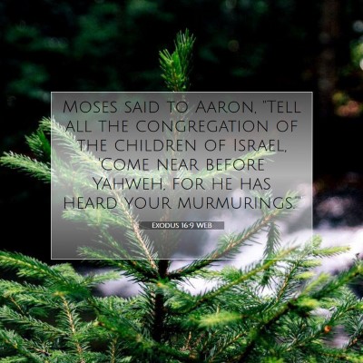 Picture 07 - Exodus 16:9 WEB - Moses said to Aaron, 