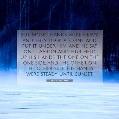 Picture 07 - Exodus 17:12 WEB - But Moses' hands were heavy; and they took a - Bible Verse Picture