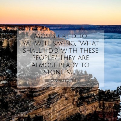 Picture 07 - Exodus 17:4 WEB - Moses cried to Yahweh, saying, 