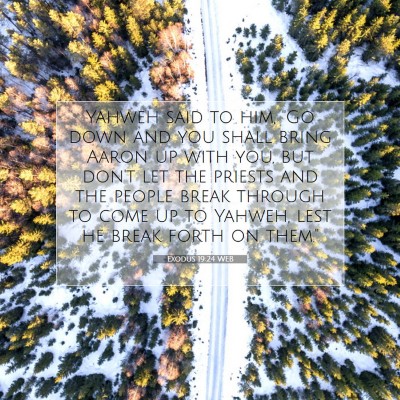 Picture 07 - Exodus 19:24 WEB - Yahweh said to him, 