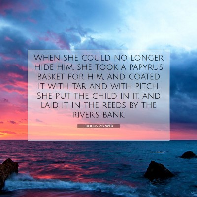 Picture 07 - Exodus 2:3 WEB - When she could no longer hide him, she took a - Bible Verse Picture