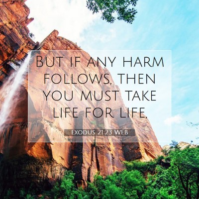Picture 07 - Exodus 21:23 WEB - But if any harm follows, then you must take life - Bible Verse Picture
