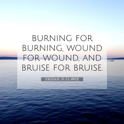 Picture 07 - Exodus 21:25 WEB - burning for burning, wound for wound, and bruise - Bible Verse Picture
