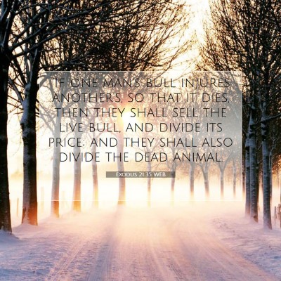 Picture 07 - Exodus 21:35 WEB - 
