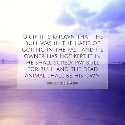 Picture 07 - Exodus 21:36 WEB - Or if it is known that the bull was in the habit - Bible Verse Picture