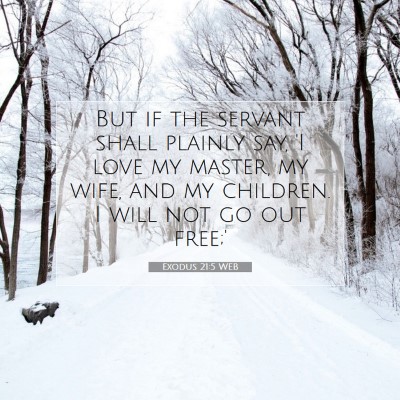Picture 07 - Exodus 21:5 WEB - But if the servant shall plainly say, 'I love my - Bible Verse Picture