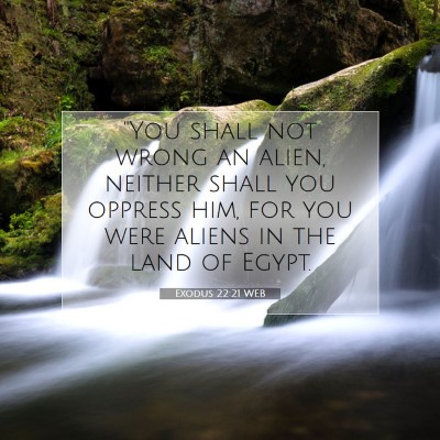 Picture 07 - Exodus 22:21 WEB - 