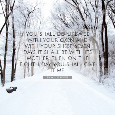 Picture 07 - Exodus 22:30 WEB - You shall do likewise with your oxen and with - Bible Verse Picture