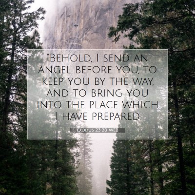 Picture 07 - Exodus 23:20 WEB - 