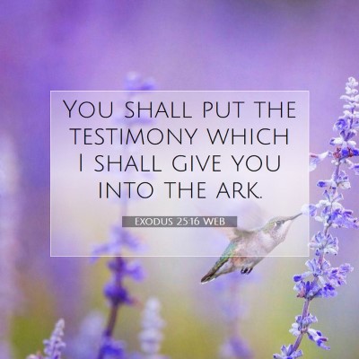 Picture 07 - Exodus 25:16 WEB - You shall put the testimony which I shall give - Bible Verse Picture