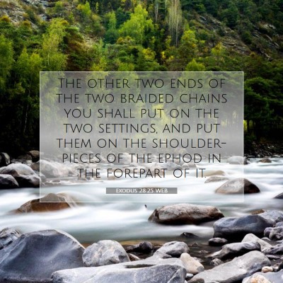 Picture 07 - Exodus 28:25 WEB - The other two ends of the two braided chains you - Bible Verse Picture