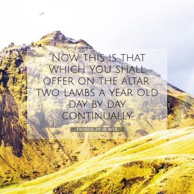 Picture 07 - Exodus 29:38 WEB - 