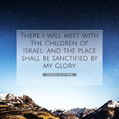 Picture 07 - Exodus 29:43 WEB - There I will meet with the children of Israel; - Bible Verse Picture
