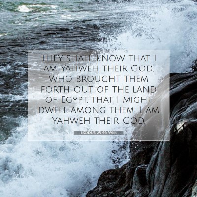 Picture 07 - Exodus 29:46 WEB - They shall know that I am Yahweh their God, who - Bible Verse Picture