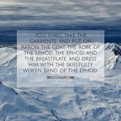 Picture 07 - Exodus 29:5 WEB - You shall take the garments, and put on Aaron the - Bible Verse Picture