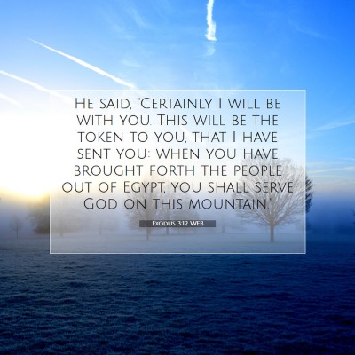 Picture 07 - Exodus 3:12 WEB - He said, 