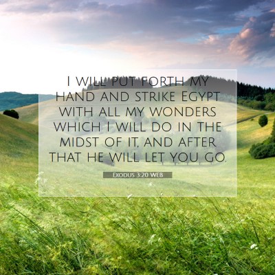 Picture 07 - Exodus 3:20 WEB - I will put forth my hand and strike Egypt with - Bible Verse Picture