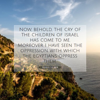 Picture 07 - Exodus 3:9 WEB - Now, behold, the cry of the children of Israel - Bible Verse Picture