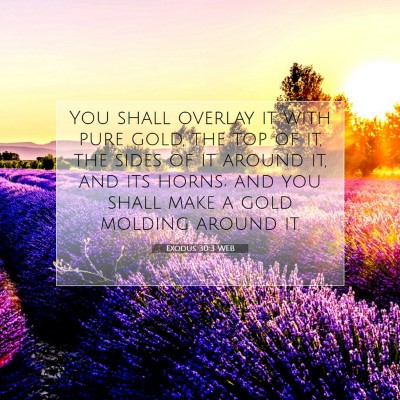Picture 07 - Exodus 30:3 WEB - You shall overlay it with pure gold, the top of - Bible Verse Picture