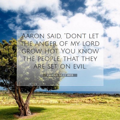 Picture 07 - Exodus 32:22 WEB - Aaron said, 