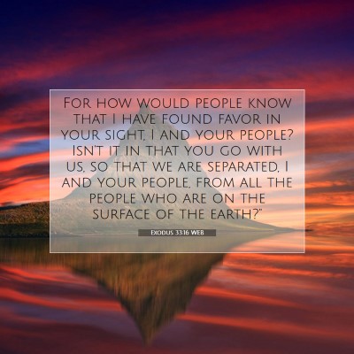 Picture 07 - Exodus 33:16 WEB - For how would people know that I have found favor - Bible Verse Picture