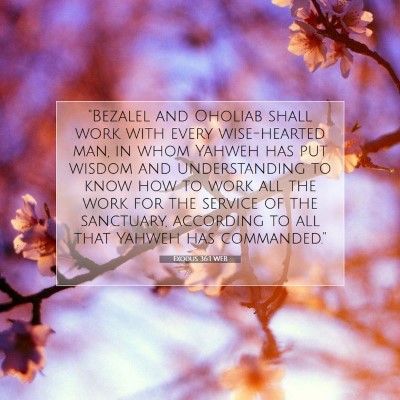 Picture 07 - Exodus 36:1 WEB - 