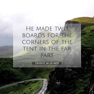 Picture 07 - Exodus 36:28 WEB - He made two boards for the corners of the tent in - Bible Verse Picture