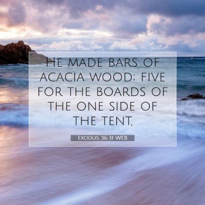 Picture 07 - Exodus 36:31 WEB - He made bars of acacia wood; five for the boards - Bible Verse Picture