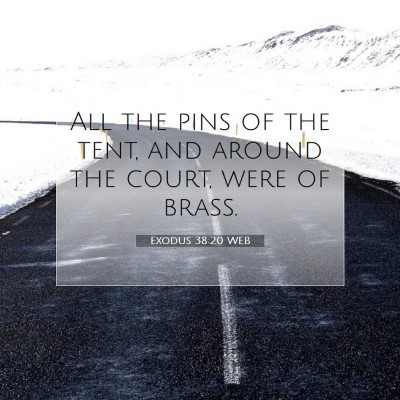 Picture 07 - Exodus 38:20 WEB - All the pins of the tent, and around the court, - Bible Verse Picture