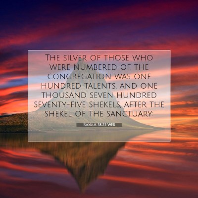 Picture 07 - Exodus 38:25 WEB - The silver of those who were numbered of the - Bible Verse Picture