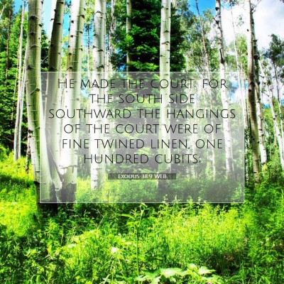 Picture 07 - Exodus 38:9 WEB - He made the court: for the south side southward - Bible Verse Picture