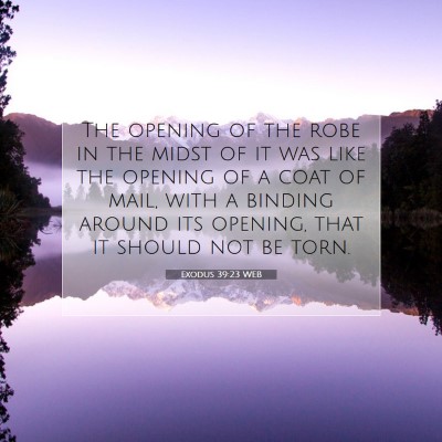 Picture 07 - Exodus 39:23 WEB - The opening of the robe in the midst of it was - Bible Verse Picture