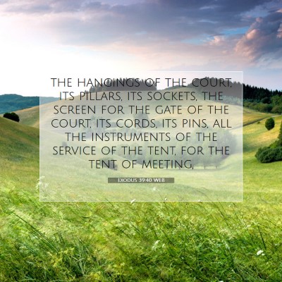 Picture 07 - Exodus 39:40 WEB - the hangings of the court, its pillars, its - Bible Verse Picture