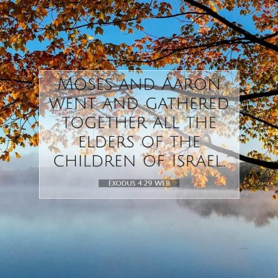 Picture 07 - Exodus 4:29 WEB - Moses and Aaron went and gathered together all - Bible Verse Picture