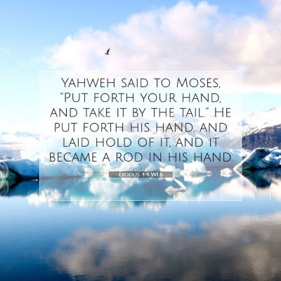 Picture 07 - Exodus 4:4 WEB - Yahweh said to Moses, 