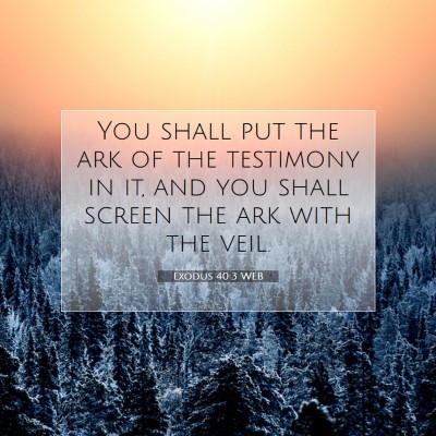 Picture 07 - Exodus 40:3 WEB - You shall put the ark of the testimony in it, and - Bible Verse Picture