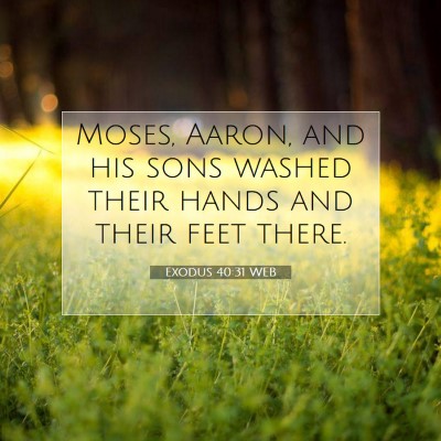 Picture 07 - Exodus 40:31 WEB - Moses, Aaron, and his sons washed their hands and - Bible Verse Picture