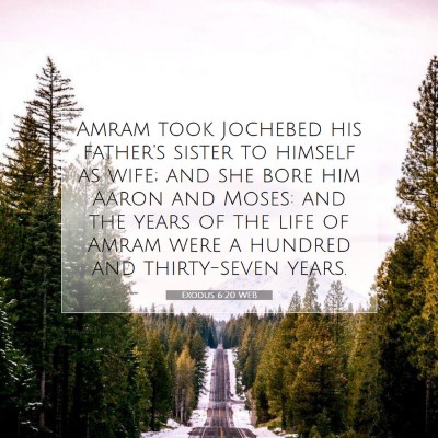 Picture 07 - Exodus 6:20 WEB - Amram took Jochebed his father's sister to - Bible Verse Picture