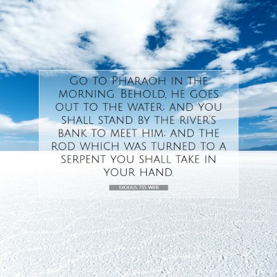 Picture 07 - Exodus 7:15 WEB - Go to Pharaoh in the morning. Behold, he goes out - Bible Verse Picture