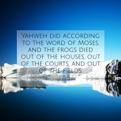 Picture 07 - Exodus 8:13 WEB - Yahweh did according to the word of Moses, and - Bible Verse Picture