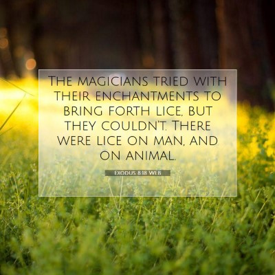 Picture 07 - Exodus 8:18 WEB - The magicians tried with their enchantments to - Bible Verse Picture